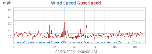 yearwind